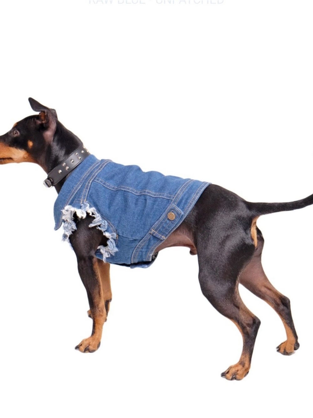 Denim Dog Jacket in Blue - Pet Apparel